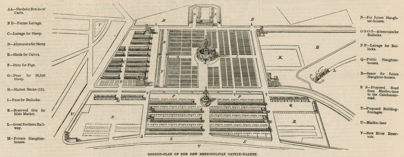 Planritning av den nya Metropolitan Cattle Market, Copenhagen Fields av English School
