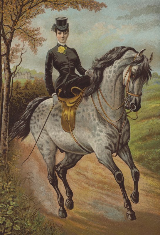 HKH Prinsessan av Wales (chromolitho) av English School
