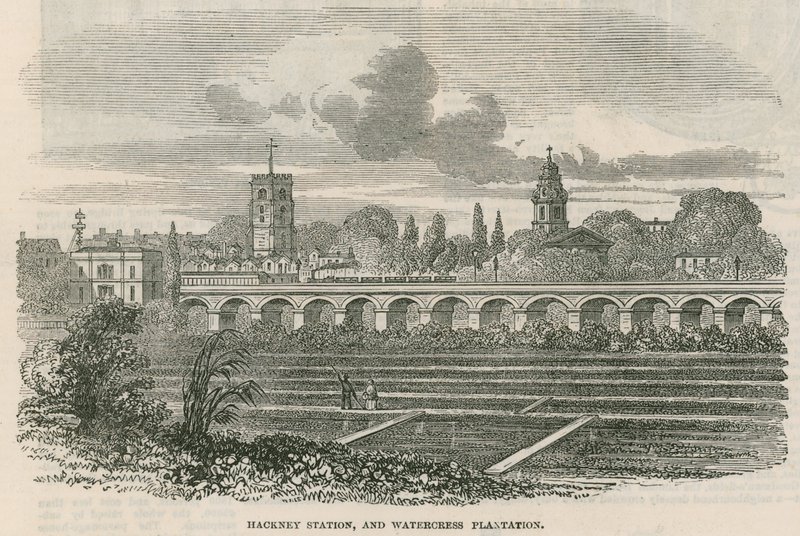 Hackney Station och Watercress Plantation, London av English School