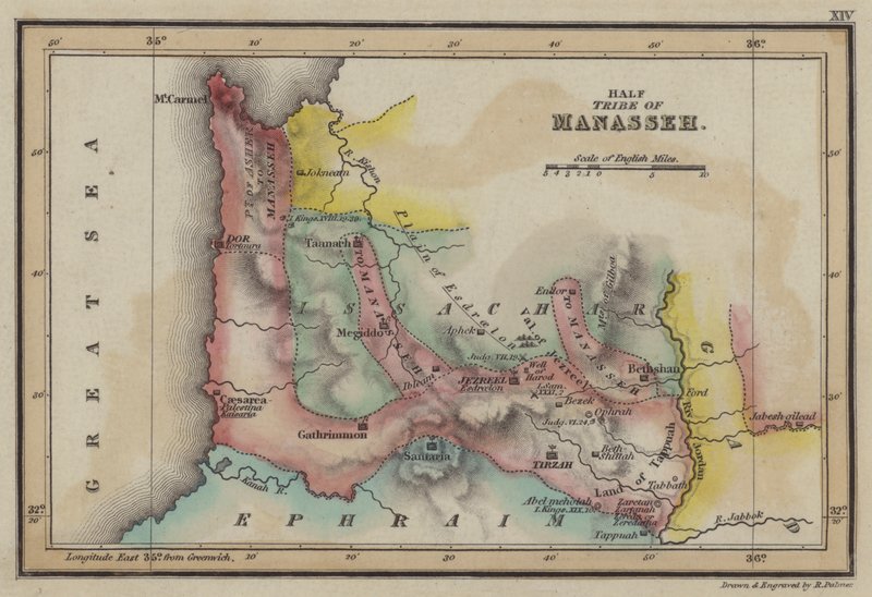 Halva Manasse stammen (färgad gravyr) av English School