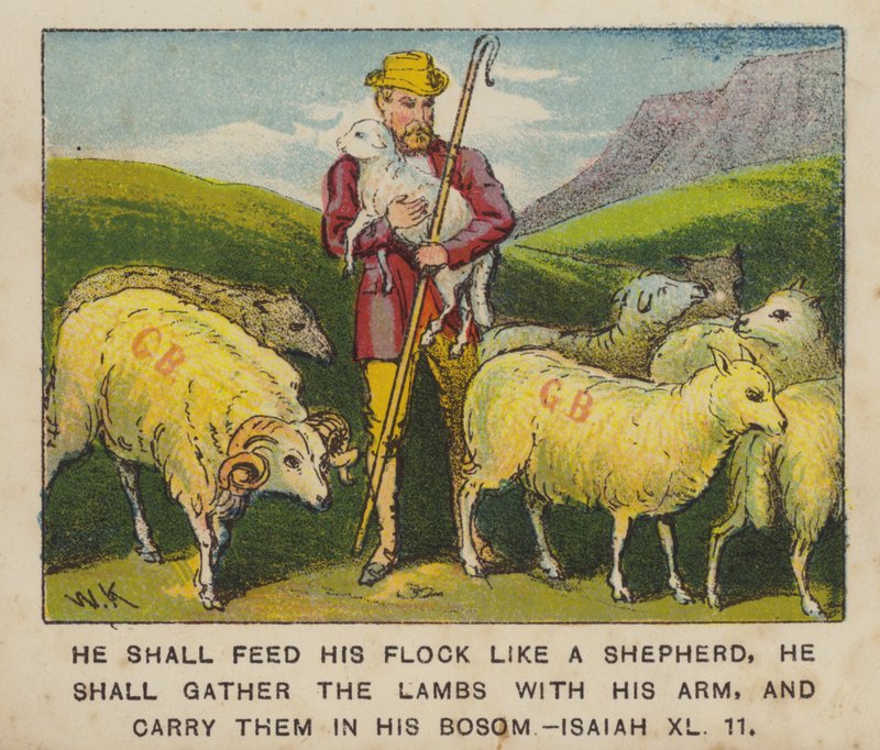 Han ska föda sin hjord som en herde, han ska samla ihop lammen med sin arm och bära dem (färg litho) av English School