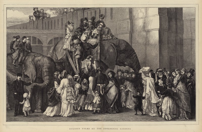 Holiday Folks at the Zoological Gardens (gravyr) av English School