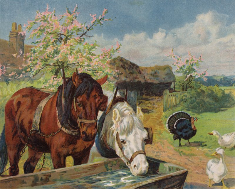 Hästar som dricker ur ett vattentråg (färg litho) av English School