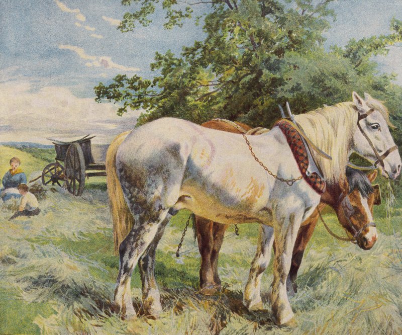 Hästar tar en paus från arbetet på en gård (färg litho) av English School