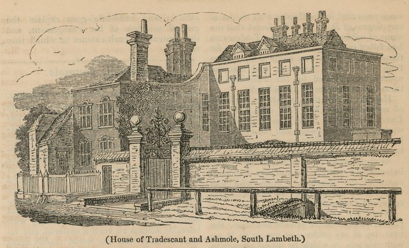House of Tradescant och Ashmole, South Lambeth av English School