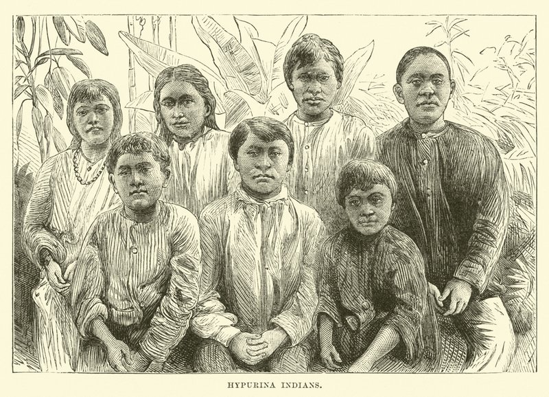 Hypurina-indianer av English School