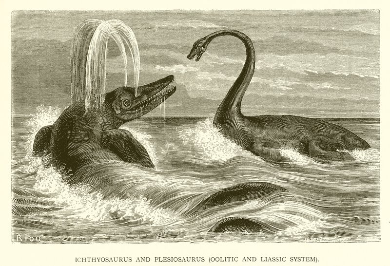 Ichthyosaurus och Plesiosaurus, Oolitic och Liassic System av English School