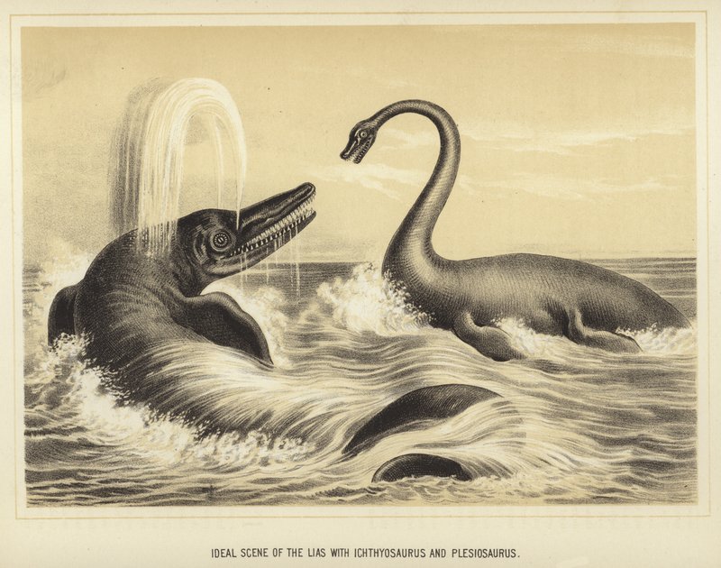 Idealisk scen för Lias med Ichthyosaurus och Plesiosaurus av English School