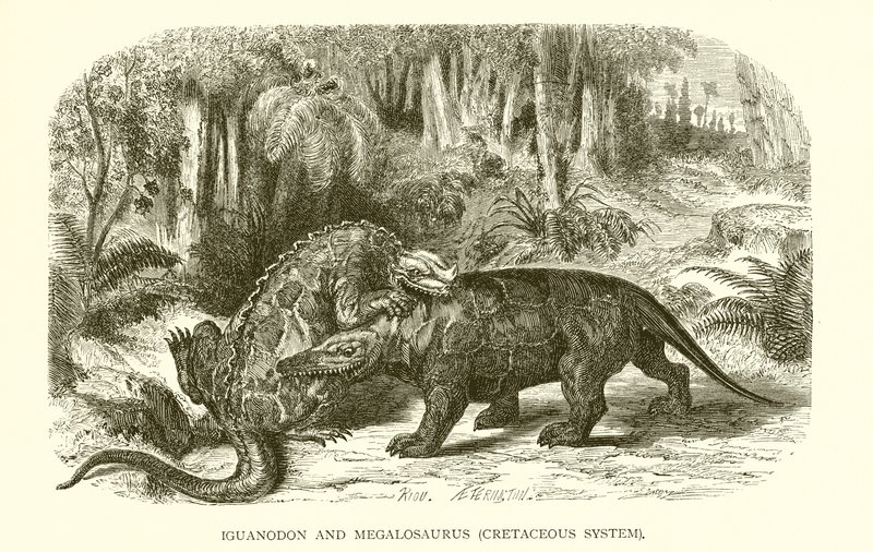 Iguanodon och Megalosaurus, kritasystemet av English School