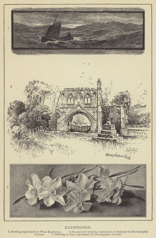 Illustration (gravyr) av English School