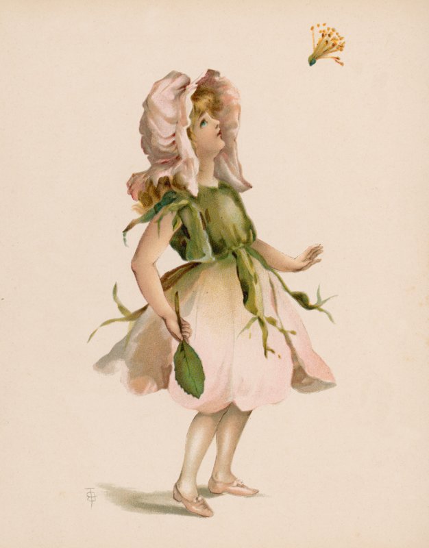 Illustration för The Language Of Flowers (chromolitho) av English School