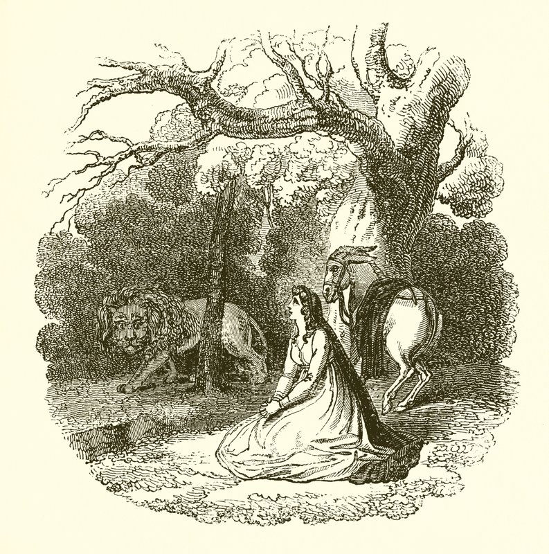Illustration av Faery Queene av English School