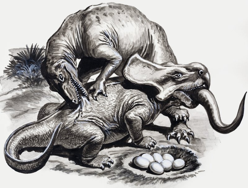 In the Days of the Dinosaurs: Discovery in the Desertswed av English School