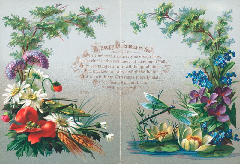 Insekter och blommor, julkort av English School