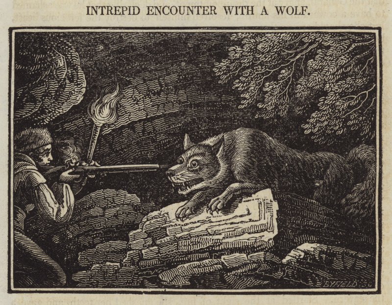 Intrepid Encounter with a Wolf (gravyr) av English School