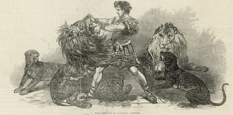 Isaac van Amburgh på Vauxhall Gardens av English School