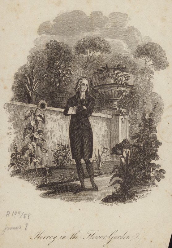 James Hervey i blomsterträdgården av English School
