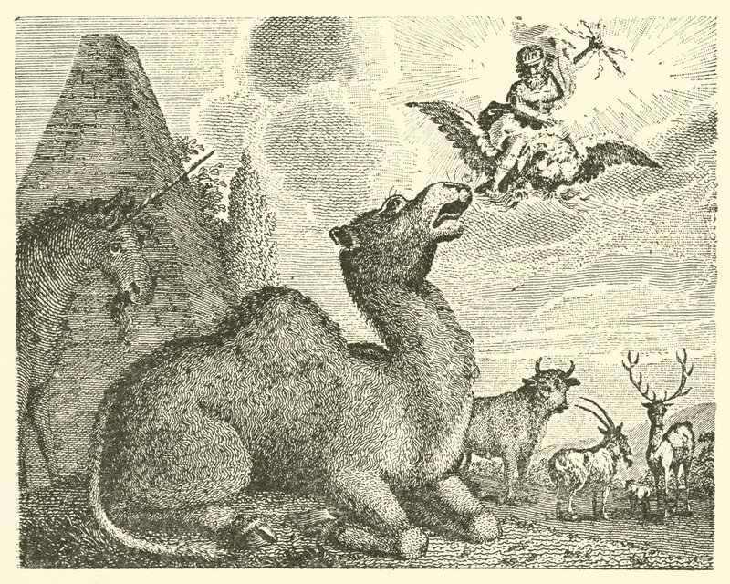Jupiter och kamelen (gravyr) av English School