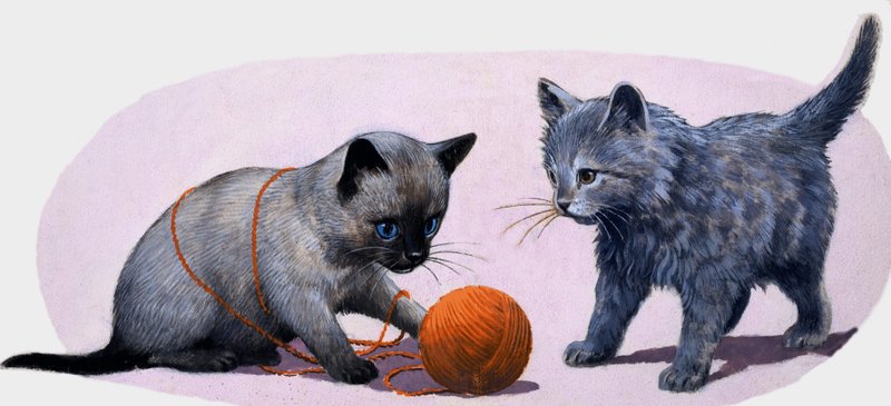 Kattungar som leker med en boll av ull av English School