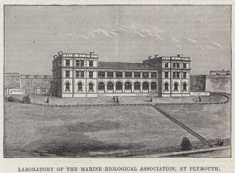 Laboratory of the Marine Biological Association, i Plymouth (gravyr) av English School