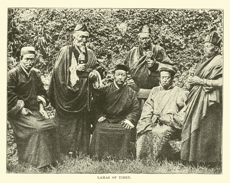 Lamor från Tibet av English School