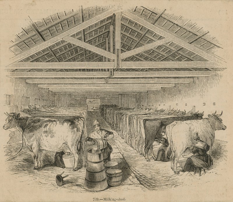 Laycocks Dairy Farm, daterad juli 1841 av English School