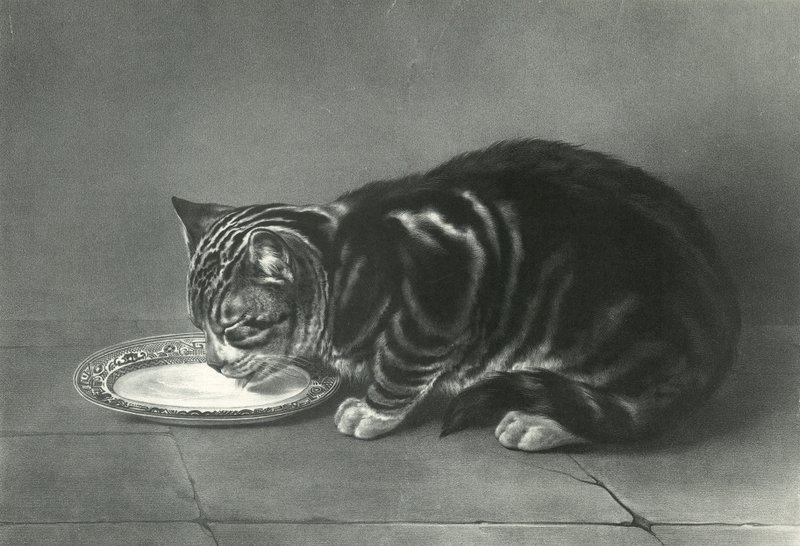 Le Gourmand, frossaren av English School