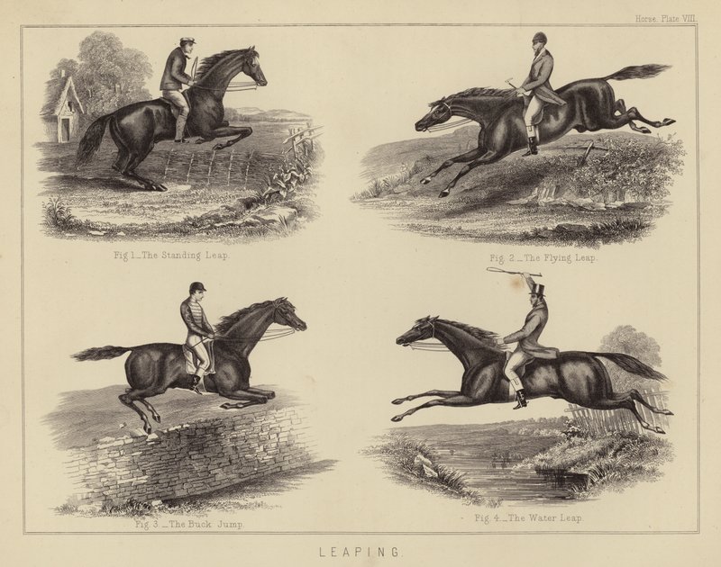Hoppa (färg litho) av English School