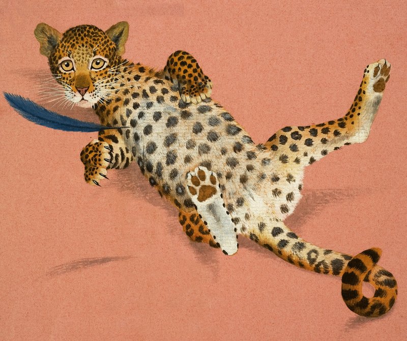 Leopardunge av English School