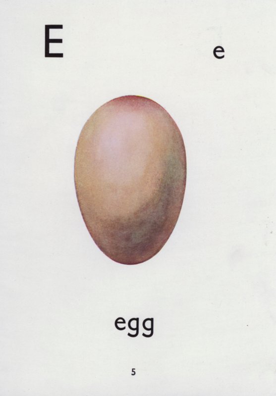 Bokstaven E, ägg (färg litho) av English School
