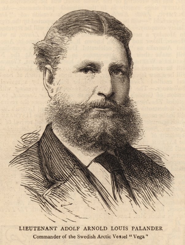 Löjtnant Adolf Arnold Louis Palander (gravyr) av English School