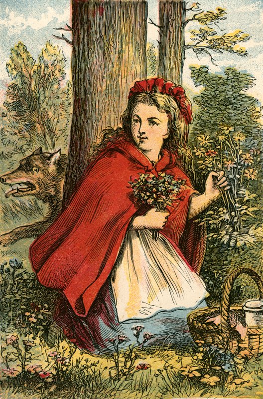 Rödluvan samlar blommor av English School