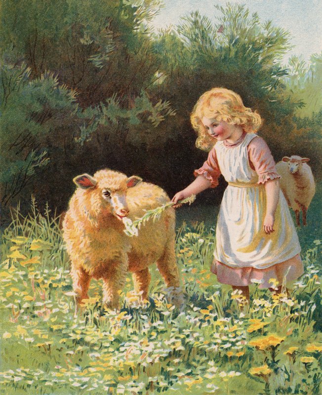 Liten flicka som matar en blomma till ett får på en äng (chromolitho) av English School