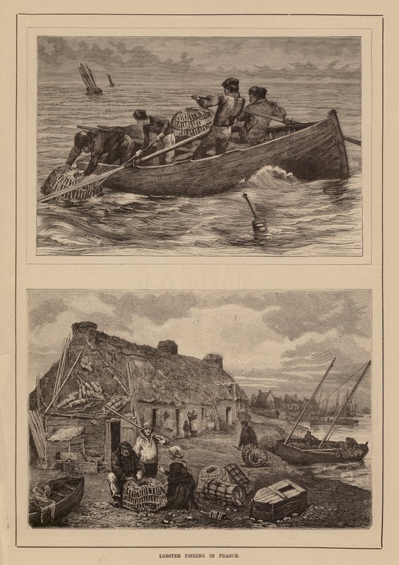 Hummerfiske, Frankrike (gravyr) av English School