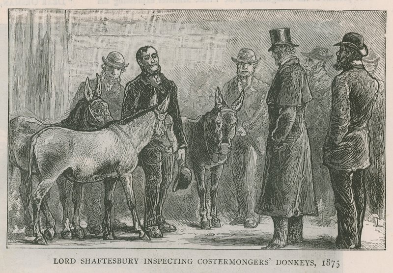 Lord Shaftesbury inspekterar åsnor från åsnor av English School