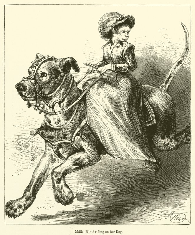 Mademoiselle Minie rider på sin hund (gravyr) av English School
