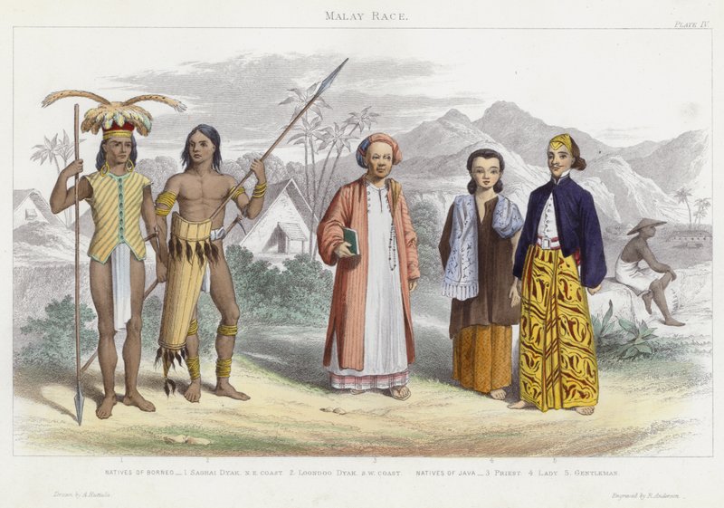 Malay Race (färgad gravyr) av English School