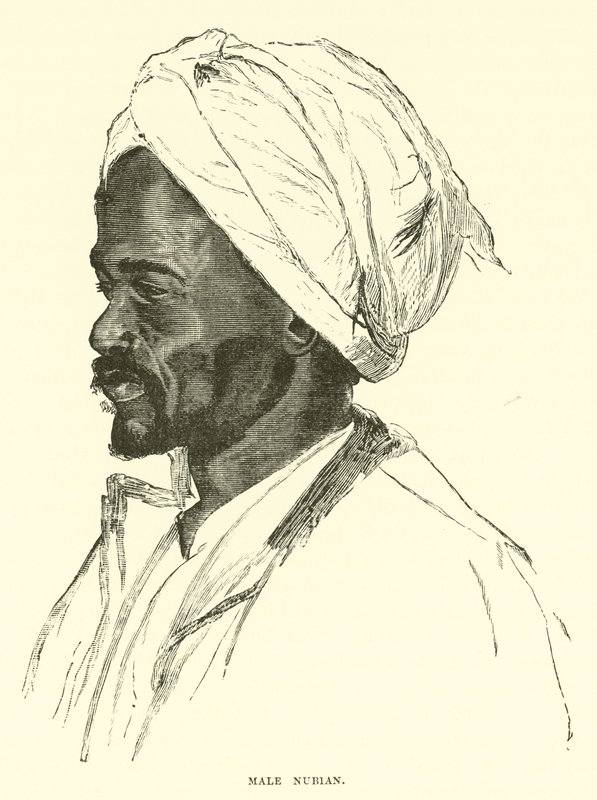 Nubian man av English School