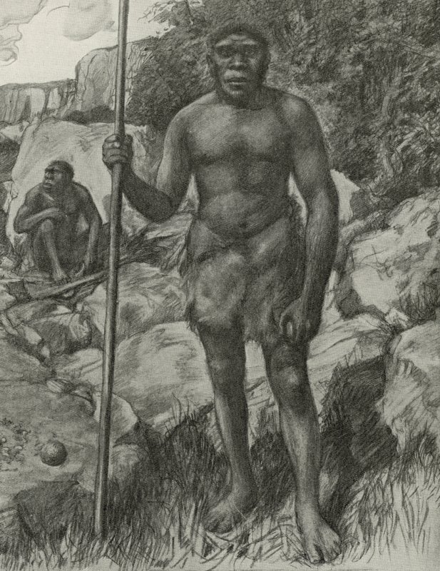 Man vars skalle upptäcktes i Rhodesia 1921 av English School