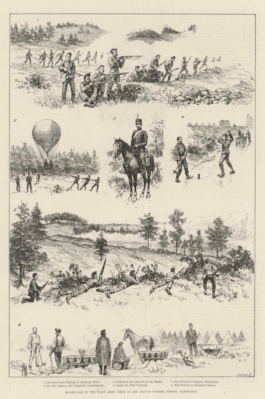 Manövrar av First Army Corps i och runt Wolmer Forest, Hampshire (gravyr) av English School