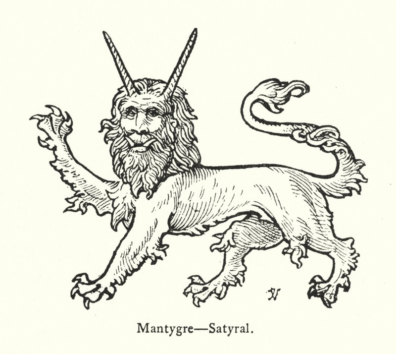 Mantigre, Satyral (gravyr) av English School