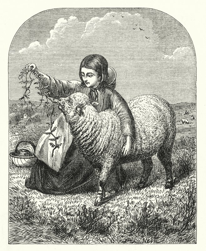 Marias lamm (gravyr) av English School