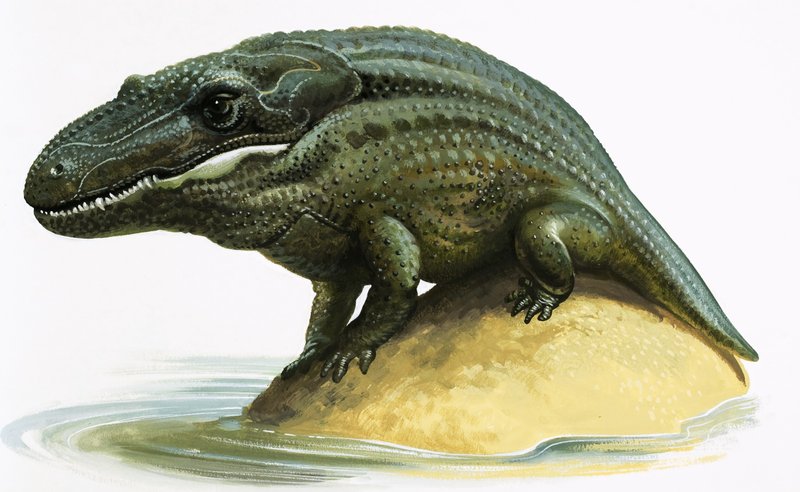 Mastodonsaurus av English School