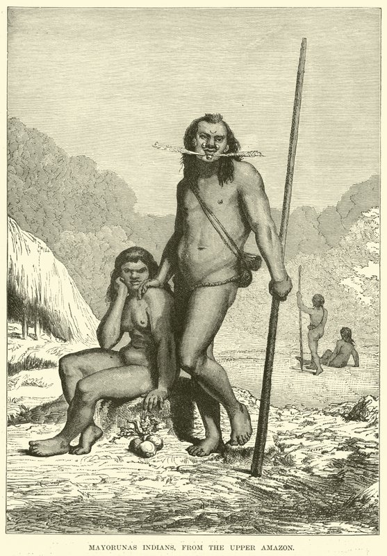 Mayorunas indianer, från övre Amazonas av English School
