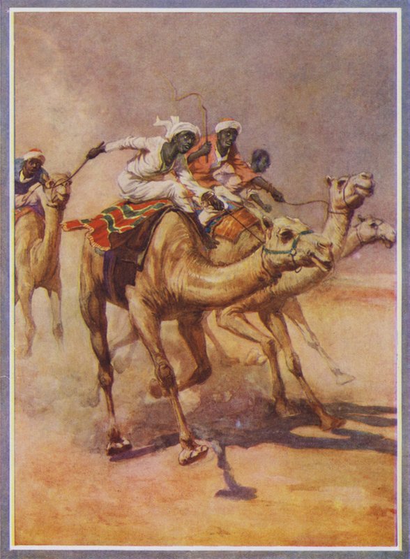 Män som rider på kameler i ett lopp i öknen (färg litho) av English School