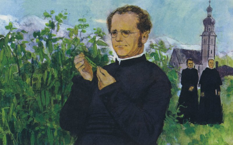 Mendel studerar i klostret av English School