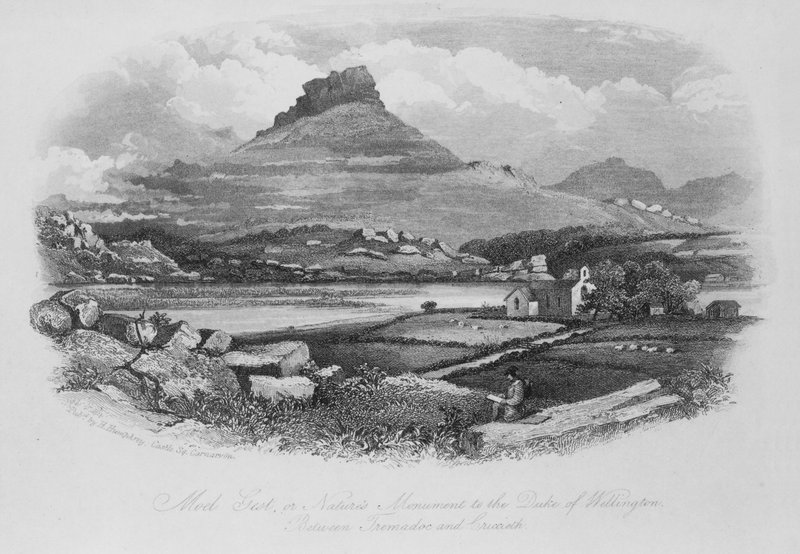 Moel Gest, eller Nature