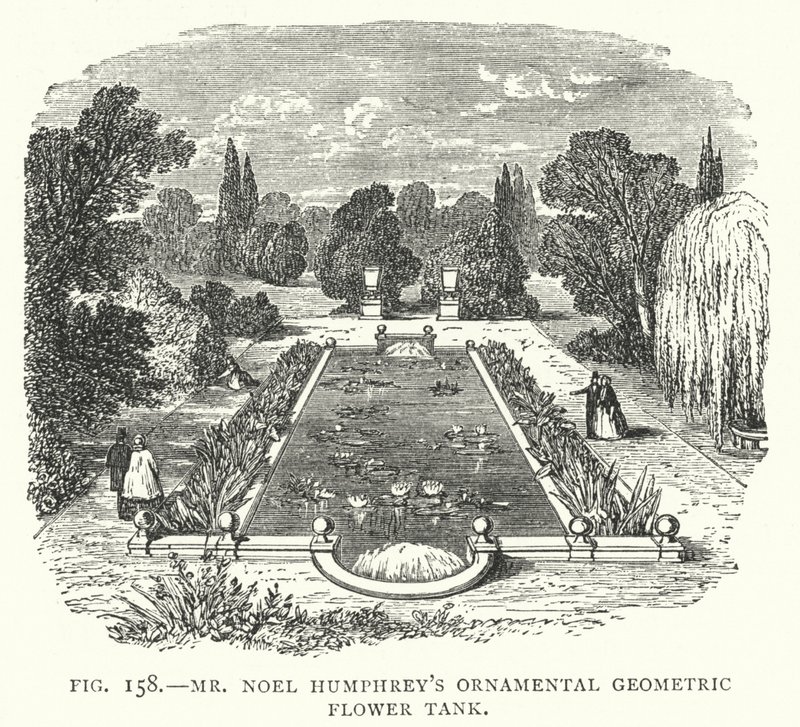 Mr Noel Humphreys dekorativa geometriska blomtank (gravyr) av English School