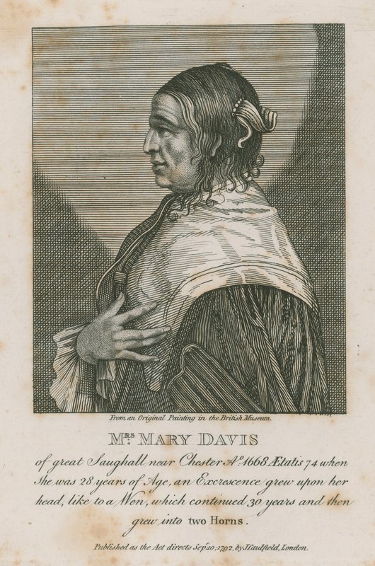 Mrs Mary Davis från stora Saughall nära Chester, 1668 av English School