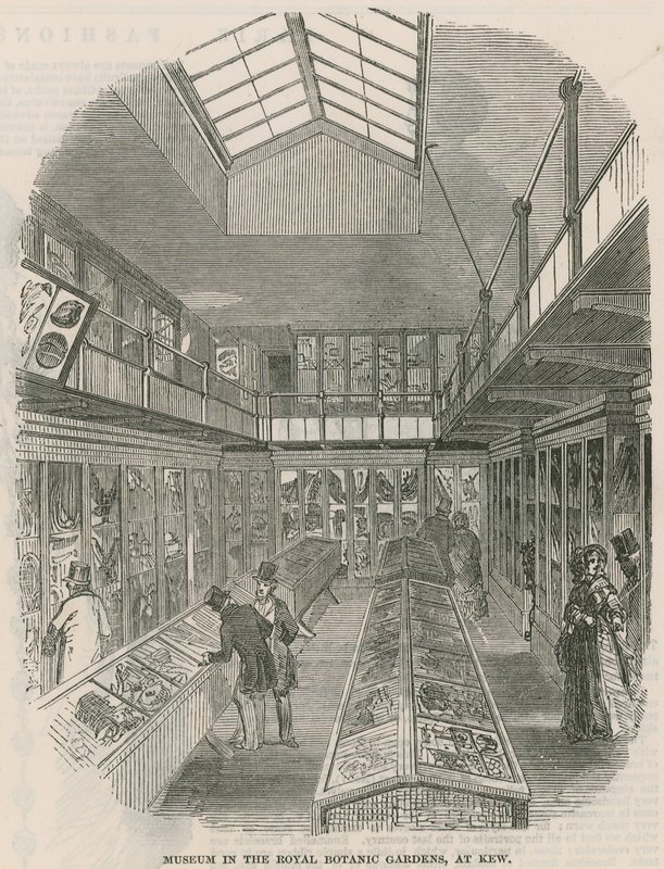 Museum i Royal Botanic Gardens, Kew av English School